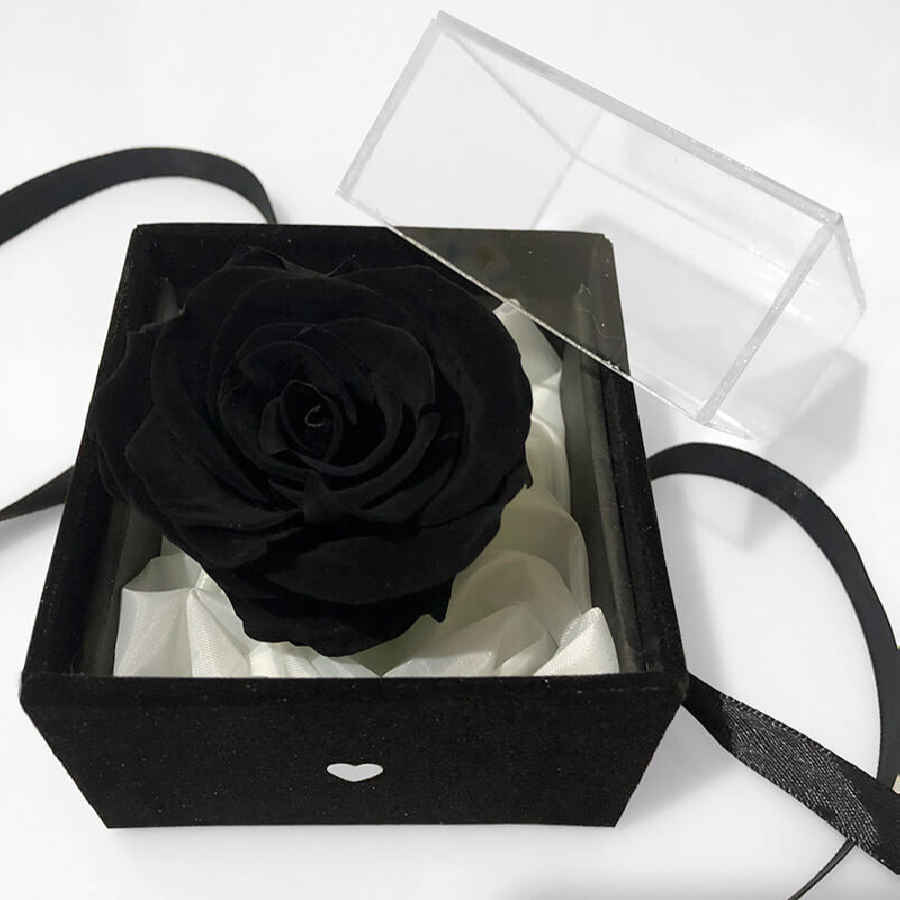 Black Eternal Rose Box Model Hadi