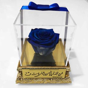 Blue Eternal Rose Box Model Soha