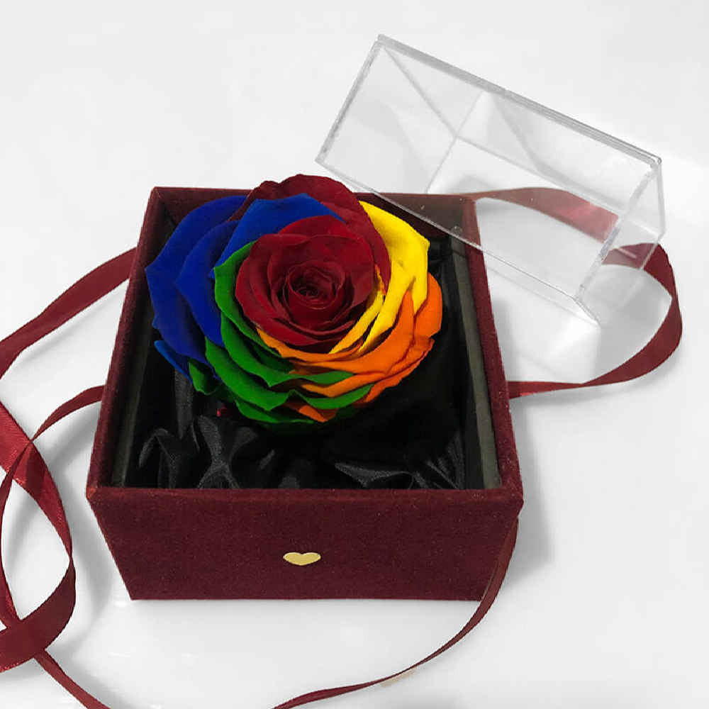 Colorful Eternal Rose Box Model Heaven