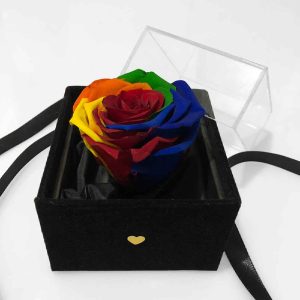 Colorful Eternal Rose Box Model Roya