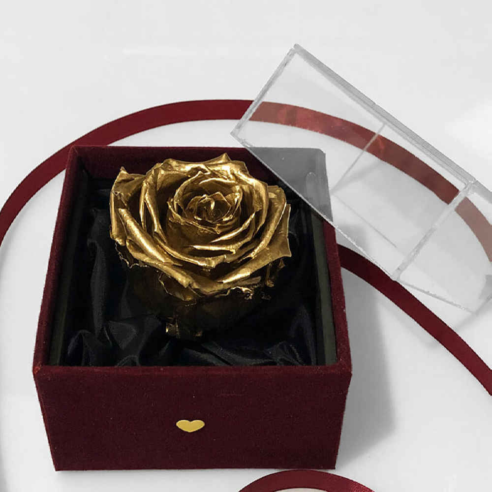 Maroon Eternal Rose Box Model Proud