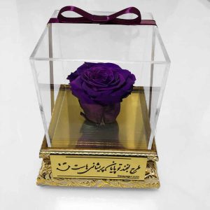 Purple Eternal Rose Box Model Royal