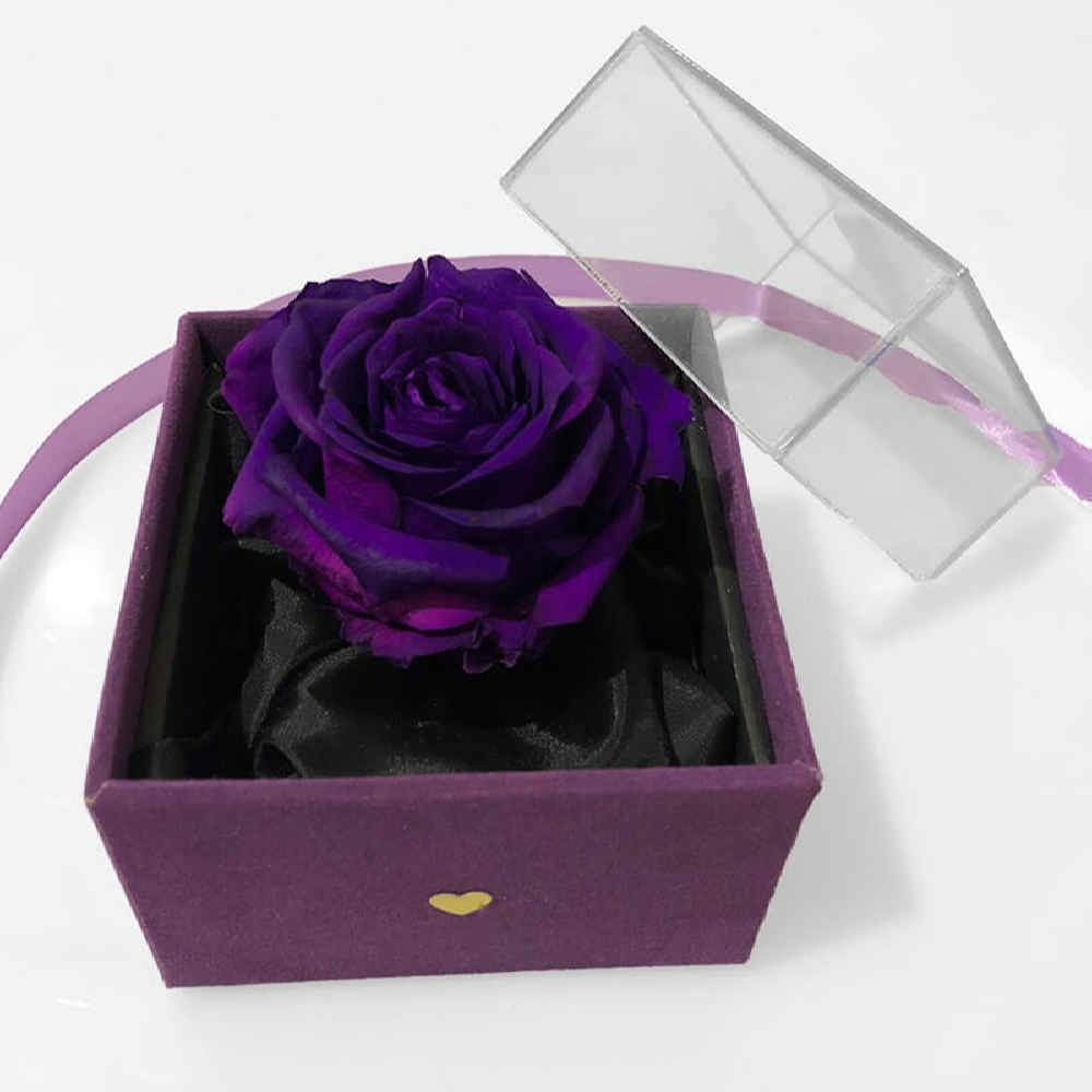 Purple Eternal Rose Box Model Tara