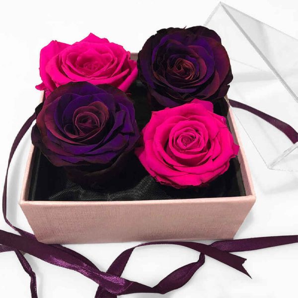 Purple & Pink Eternal Rose Box Model Javedan