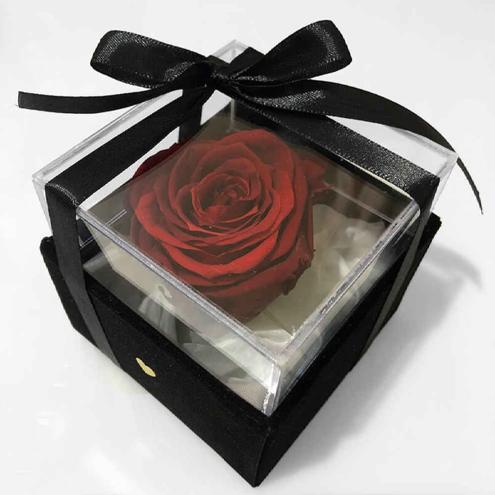 Red Eternal Rose Box Model Valentine