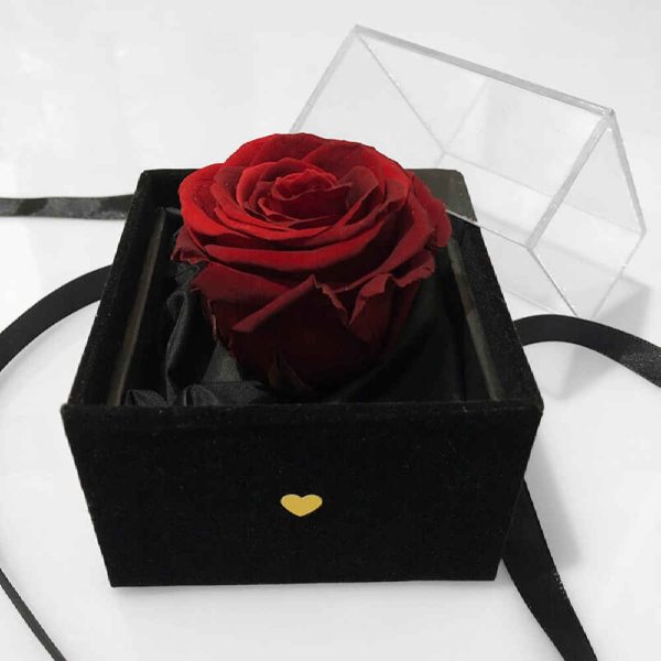 Red Eternal Rose Box Model Valentine
