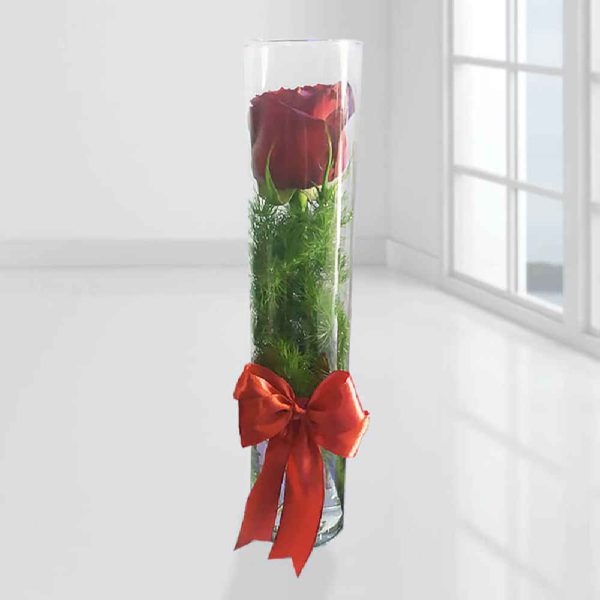 Red Rose Flower Vase Model Sorkh