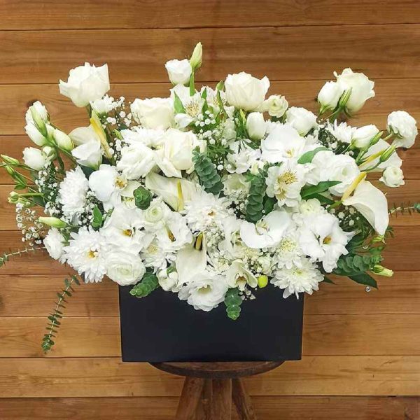 White Flower Box Model Sargol