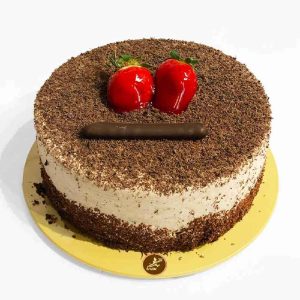 Chocolate Cake Model Elaheh