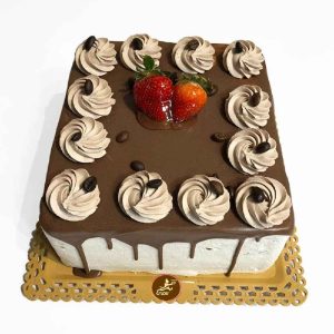 Chocolate Cake Model Square