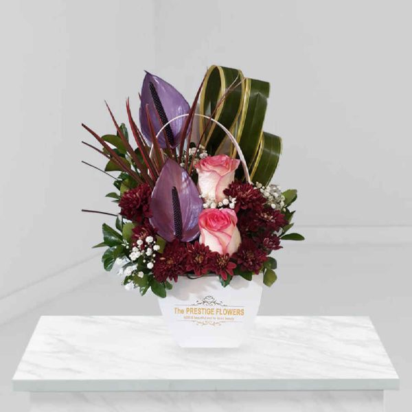 Flower Box Model Prestige