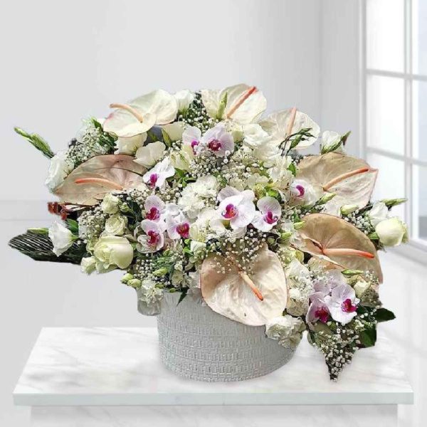 White Flower Box Model Negarin