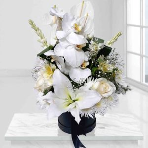 White Flower Box Model Orchid