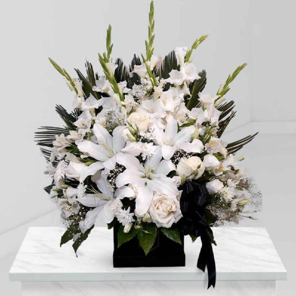White Flower Box Model Rasta