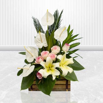 White Flowers