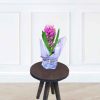 Purple Hyacinth Flower Vase – Fresh Seasonal Blossoms