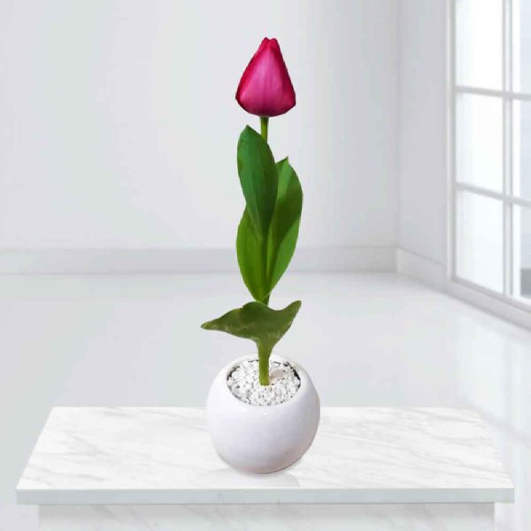 Natural Tulip Flower Vase