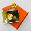 Sunflower Design Pictorial Postcard – Send Beautiful Postcards to Iran