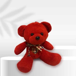 Bobby Teddy Bear Red Plush Toy