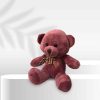 Cute Teddy Bear Plush Toy – Adorable Gift for Kids & Adults