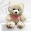Personalized Teddy Bear – Soft Plush Toy Gift