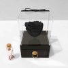 Black Eternal Rose Box Model Love