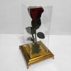 Eternal Rose Box with Golden Base – Luxurious Display