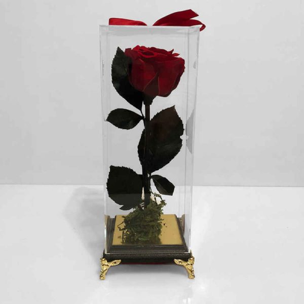 Eternal Rose Box with ‌Black Base