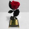 Eternal Rose Box with Black Base – Timeless Elegance