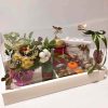 Aromatic Yalda Night Gift Set – Celebrate with Tradition