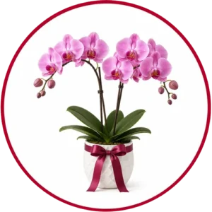 Category Artificial Flowers