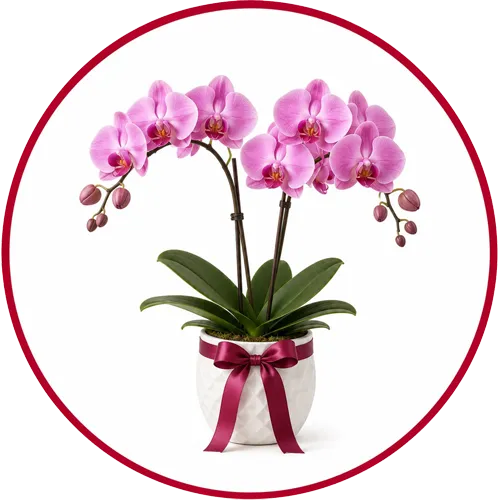 Artificial Flowers